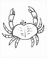 Coloring Crab Crabs Coloringbay sketch template