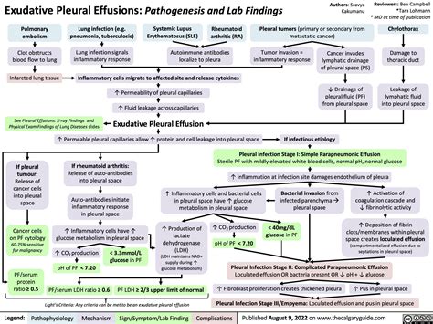exudative pleural effusions pathogenesis  lab findings calgary guide