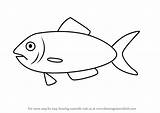 Herring Fish Kids Draw Drawing Step Drawingtutorials101 sketch template