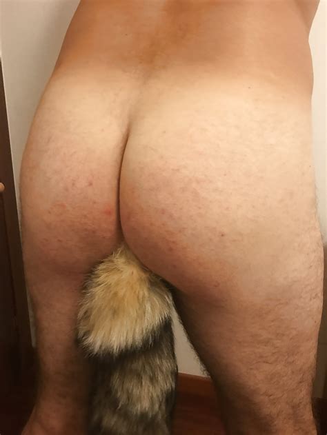 male ass with foxtail butt plug 7 pics xhamster