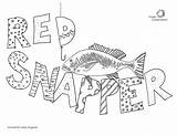 Snapper Fisheries Conservancy sketch template