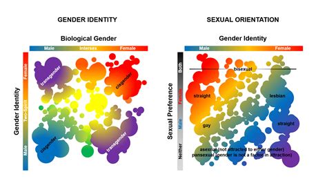 gender lines  science  transgender identity