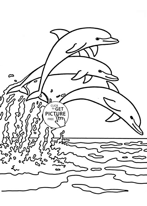 dolphin coloring pages  peepsburghcom