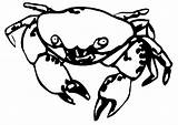 Krab Crab Krebs Mewarnai Kleurplaten Kepiting Caranguejo Crabe Krabbe Animasi Krebse Malvorlage Caranguejos Ausmalbild Crabs Ausmalen Krabben Kolorowanki Bergerak Animaties sketch template