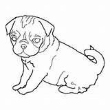 Pug Outline Dog Coloring Pages Drawing Dogs Print Drawings Face Pugs Color Clipart Template Line Cute Printable Cliparts Size Sheets sketch template