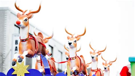 Science Says Santa S Reindeer Are All Female Cbc News