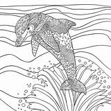 Dolphin Dauphin Zentangle Delphin Mondes Justcolor Adulti Erwachsene Aquatiques Wasserwelten Oceanic Fur Malbuch Magique Adulte Vektor Coloriages Schwer Jaillissant Hors sketch template