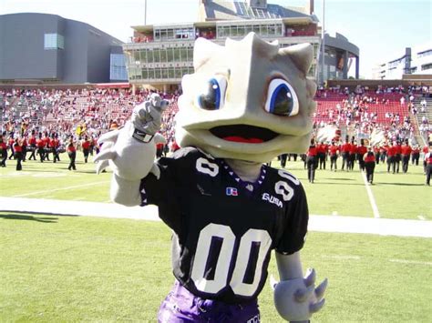 oddest mascots  college football cleverst
