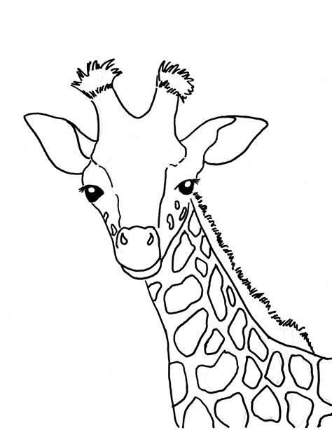 giraffe face drawing  getdrawings