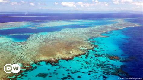 great barrier reef bleaching to intensify by 2034 dw 07 05 2018