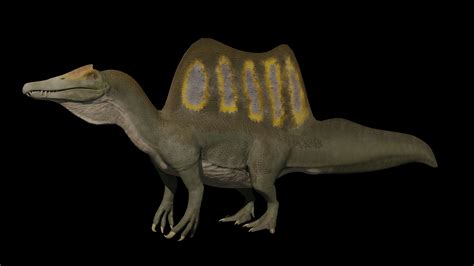 model spinosaurus aegyptiacus  vr ar  poly cgtrader