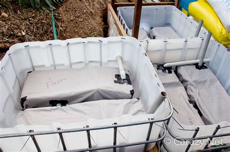 built  ibc wicking beds brisbane local food