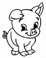 Pig Cute Coloring Pages Drawing Guinea Christmas Baby Peppa Pigs Printable Kids Cartoon Animal Minecraft Animals Pikachu Easy Adorable Clipart sketch template