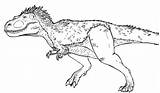 Dinosaure Rex Ark Tyrannosaurus Evolved Colorier Yutyrannus sketch template