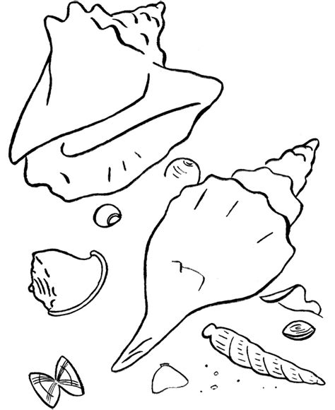 beach coloring pages
