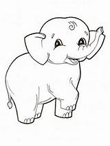 Elephant Coloring Pages Printable Kids Baby sketch template