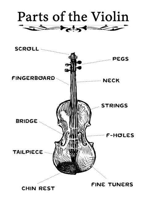 parts   violin violinschool     image jpg violinschoolcom
