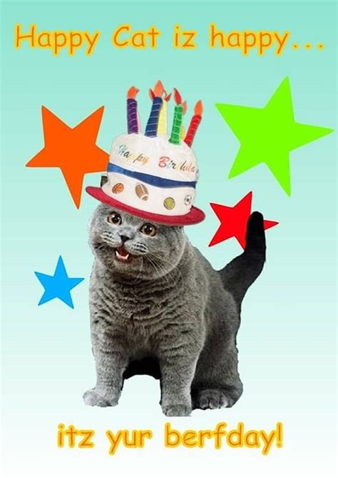 printable cat themed birthday invitations  hundreds