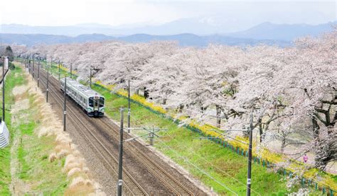 which japan rail pass to choose for your trip tokyo cheapo