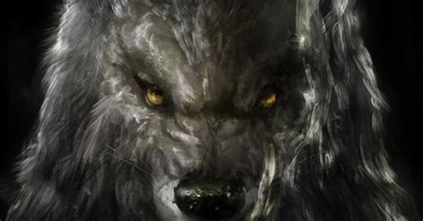 loup garou loup garou pinterest werewolves people  wolf
