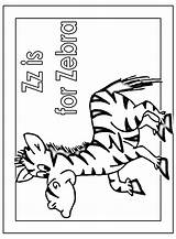 Zebra Coloring Zz Color Pages Zebras Activity Popular Animals Library Clipart sketch template