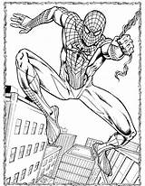 Spiderman Coloringbay Aranha Vautour Lizard Sofrimento sketch template