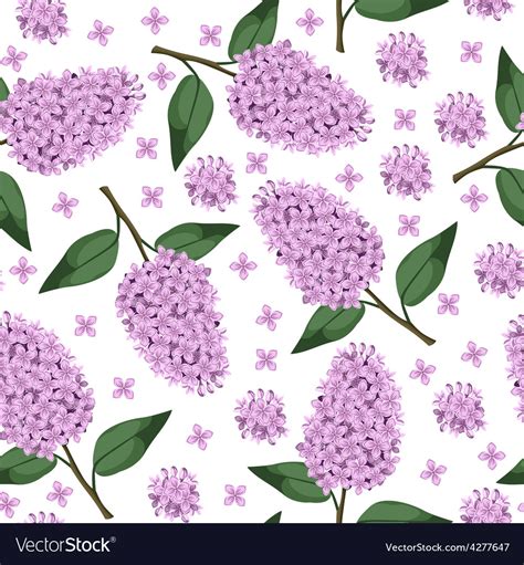 lilac pattern royalty  vector image vectorstock