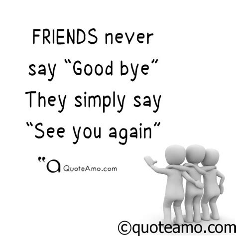 collection   quotes  sayings  friendship quote amo