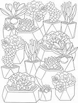 Coloring Pages Succulents Colorear Para Succulent Cactus Dover Doverpublications Adult Plants Dibujos Flower Suculentas Stamping Cute Mandalas Printable Plantas Craftgossip sketch template