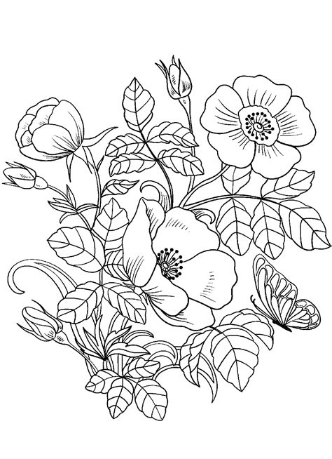 butterflies  spring flowers coloring page print color craft