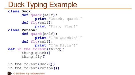 python programming essentials  duck typing