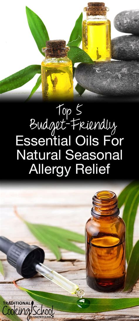 top 5 budget friendly essential oils for natural seasonal