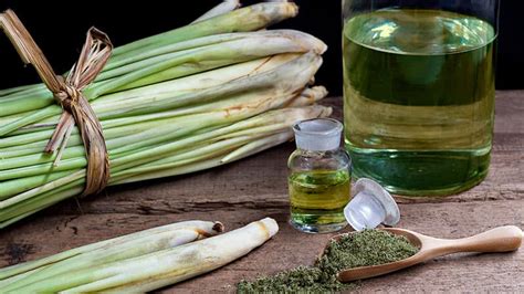 Health Benefits Of The Herbal Compress Kiyora Spa Chiang Mai