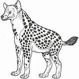 Hyena Coloring Pages Spotted Getdrawings sketch template
