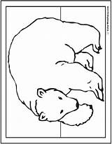 Bear Polar Coloring Pages Drawing Cute Bears Arctic Realistic Colorwithfuzzy Outline Baby Color Animals Giants Babies Kids Teddy sketch template
