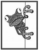 Zentangle Frog Zentangles Coloriages Zantangle Amphibien Cameleon Grenouille Shattered Visability Boo sketch template