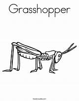 Coloring Grasshopper Pages Cricket Twisty Noodle sketch template