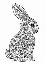 Hase Ausdrucken Kaninchen Hasen Tweetyy Mandalas Ostern Malvorlagen sketch template