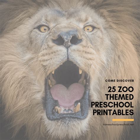 25 engaging preschool zoo printables and activities