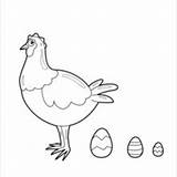 Chicken Eggs Laying Coloring Chocolate Hellokids Easter Pages sketch template