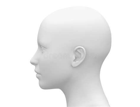 blank white female head side view stock illustration image