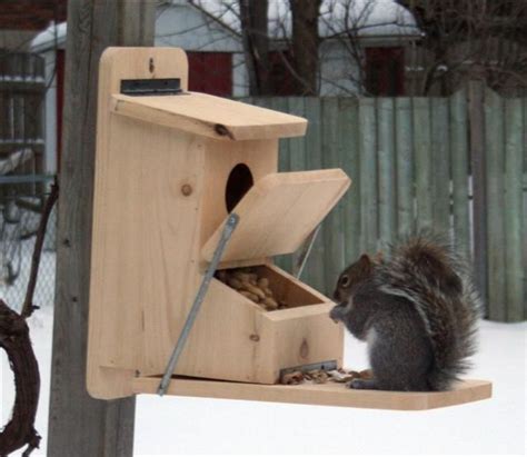 squirrel feeder plans woodworking projects plans