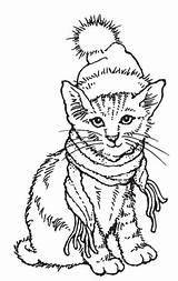 Stamps Coloring Pages Kitty Stampendous sketch template