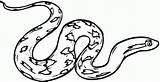 Rattlesnake Ular Mewarnai Hewan Coloringhome sketch template