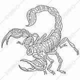 Scorpio Scorpion Zentangle sketch template