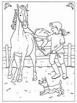 Coloring Horse Kleurplaat Paard Dressuur Pages Kids Wedstrijd Coloriage Camp Printable Books Manege Voor Sketch Tableau Choisir Un Drawing Het sketch template
