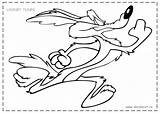 Runner Road Coyote Coloring Pages Wile Looney Tunes Roadrunner Cartoon Cartoons Drawing Printable Easy Drawings Characters Baby Color Colouring Warner sketch template