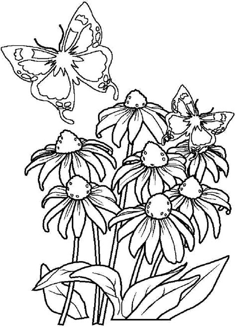 flower coloring pages beautiful printable flowers coloring pages