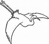 Czapla Colorare Locie Airone Disegni Volo Egret Kolorowanka Bambini Egrets Animali Immagini Aironi Birds Ptaka Drawings sketch template