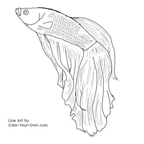 betta fish printable coloring pages
